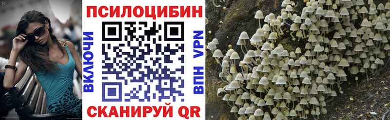 МЕГА онион  Суровикино  Галлюциногенные грибы Psilocybine cubensis 